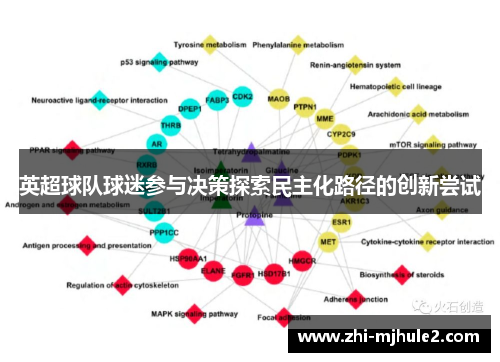 英超球队球迷参与决策探索民主化路径的创新尝试