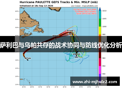 萨利巴与乌帕共存的战术协同与防线优化分析