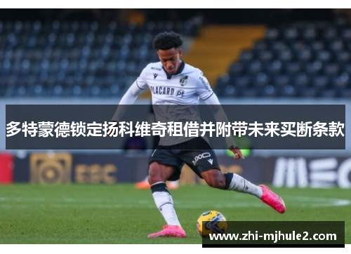 多特蒙德锁定扬科维奇租借并附带未来买断条款