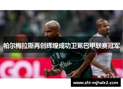 帕尔梅拉斯再创辉煌成功卫冕巴甲联赛冠军 帕尔梅拉斯再创辉煌成功卫冕巴甲联赛冠军