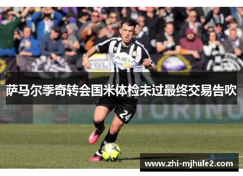 萨马尔季奇转会国米体检未过最终交易告吹